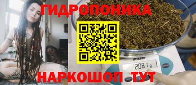 крисы Рязань