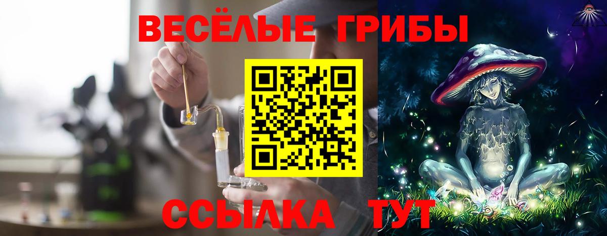 Реж  Галлюциногенные грибы мухоморы  как найти наркотики  Вход с VPN  Галлюциногенные грибы мицелий 